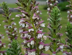 叛稳幺!c褷60漚WQ?H+東u情???茛r@z,KH躔[柂?O毘}@儖_